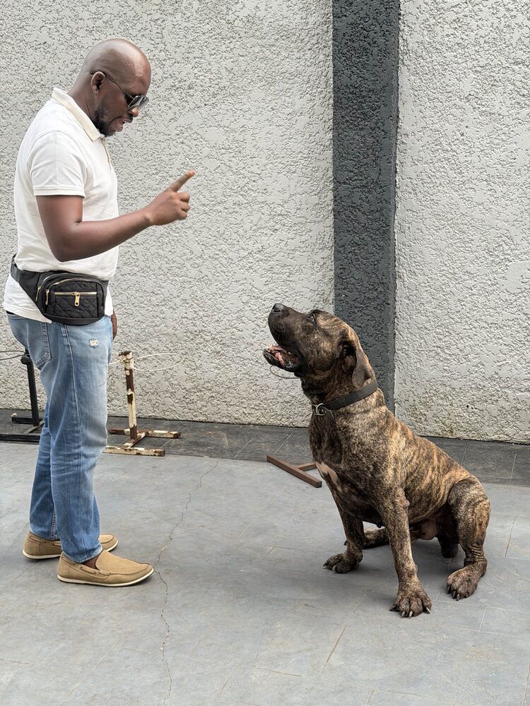 Ajibola working on the down command