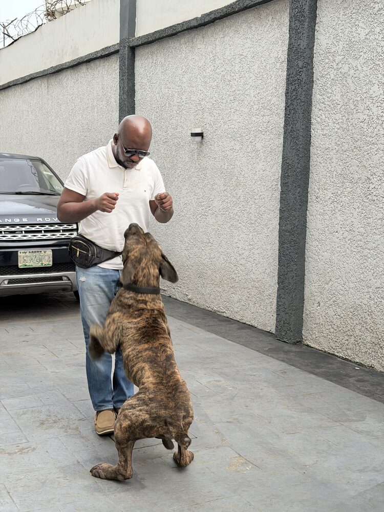 Ajibola and his Boerboel after a session